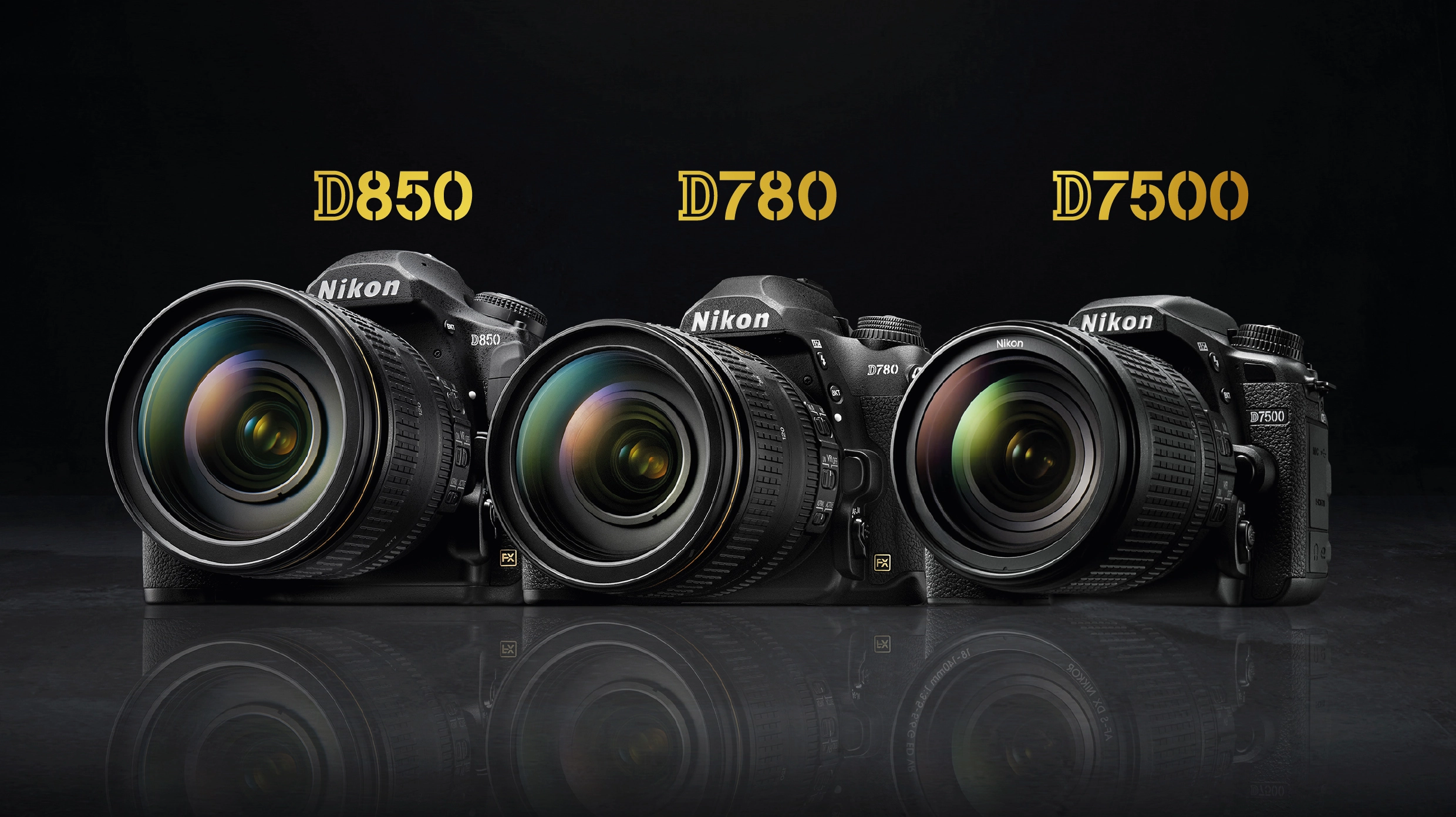 Il fascino senza tempo della reflex Nikon: D7500, D780 e D850 | Nikon Store